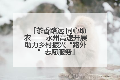 茶香路远 同心助农——永州高速开展助力乡村振兴“路外”志愿服务