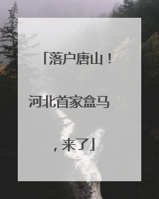 落户唐山！河北首家盒马，来了