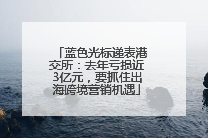蓝色光标递表港交所：去年亏损近3亿元，要抓住出海跨境营销机遇