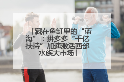 藏在鱼缸里的“蓝海”：拼多多“千亿扶持”加速激活西部水族大市场