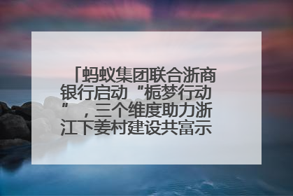 蚂蚁集团联合浙商银行启动“栀梦行动”，三个维度助力浙江下姜村建设共富示范区示范点