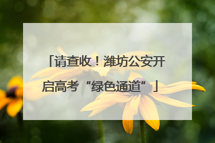 请查收！潍坊公安开启高考“绿色通道”