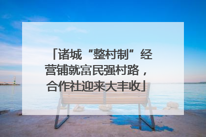 诸城“整村制”经营铺就富民强村路，合作社迎来大丰收
