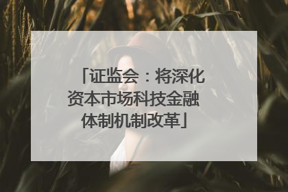 证监会：将深化资本市场科技金融体制机制改革