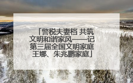 警税夫妻档 共筑文明和谐家风——记第三届全国文明家庭王娜、朱兆鹏家庭