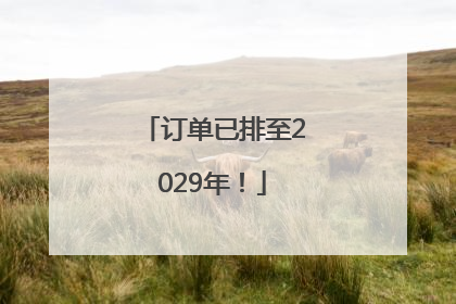 订单已排至2029年！