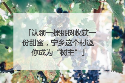 认领一棵桃树收获一份甜蜜，宁乡这个村邀你成为“树主”