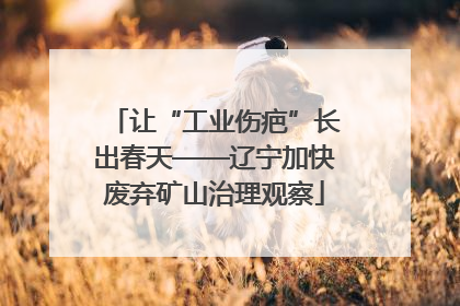 让“工业伤疤”长出春天——辽宁加快废弃矿山治理观察