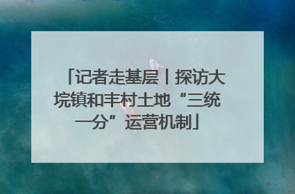 记者走基层丨探访大垸镇和丰村土地“三统一分”运营机制
