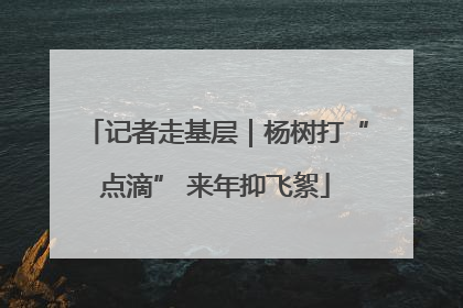 记者走基层｜杨树打“点滴” 来年抑飞絮