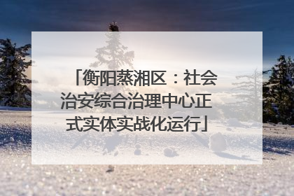 衡阳蒸湘区：社会治安综合治理中心正式实体实战化运行