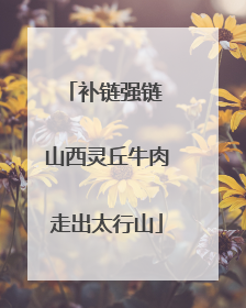 补链强链 山西灵丘牛肉走出太行山