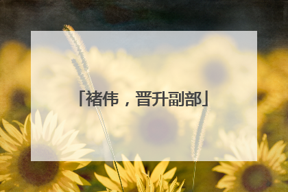 褚伟，晋升副部
