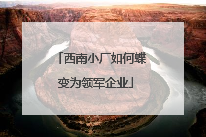 西南小厂如何蝶变为领军企业