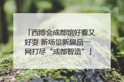 西博会成都馆好看又好耍 新场景新展品一网打尽“成都智造”