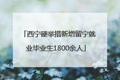 西宁硬举措新增留宁就业毕业生1800余人