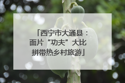西宁市大通县：面片“功夫”大比拼带热乡村旅游
