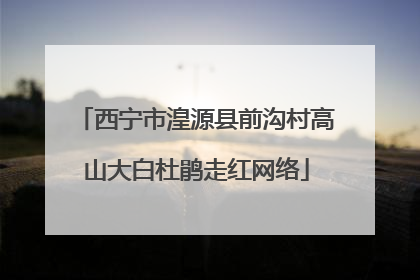 西宁市湟源县前沟村高山大白杜鹃走红网络