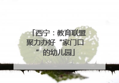 西宁：教育联盟聚力办好“家门口”的幼儿园