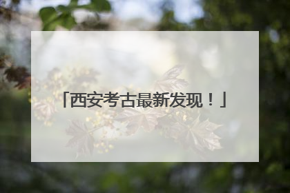 西安考古最新发现！