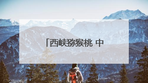 西峡猕猴桃 中国人的阳光金果