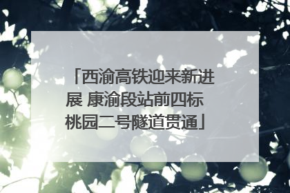 西渝高铁迎来新进展 康渝段站前四标桃园二号隧道贯通
