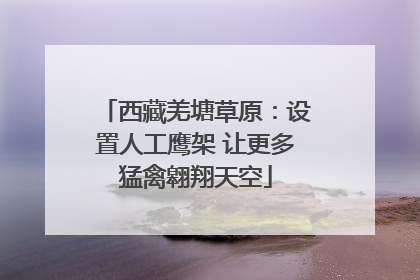 西藏羌塘草原：设置人工鹰架 让更多猛禽翱翔天空