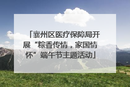襄州区医疗保障局开展“粽香传情，家国情怀”端午节主题活动