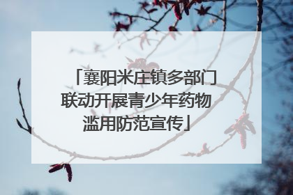 襄阳米庄镇多部门联动开展青少年药物滥用防范宣传