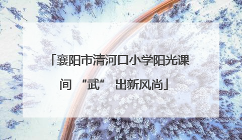 襄阳市清河口小学阳光课间 “武” 出新风尚