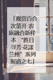 观赏百合次第开 农旅融合新样本 “胜日寻芳·花漾兰州”系列报道之七