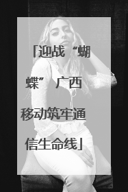 迎战“蝴蝶” 广西移动筑牢通信生命线