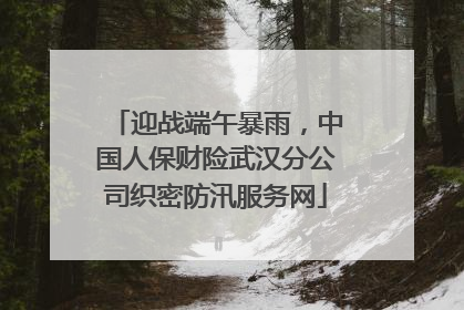 迎战端午暴雨，中国人保财险武汉分公司织密防汛服务网