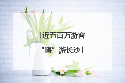 近五百万游客“嗨”游长沙