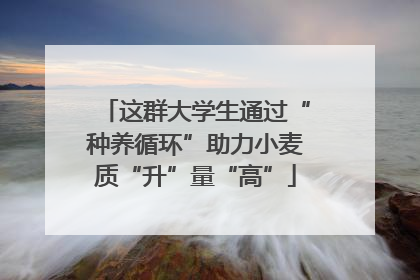这群大学生通过“种养循环”助力小麦质“升”量“高”