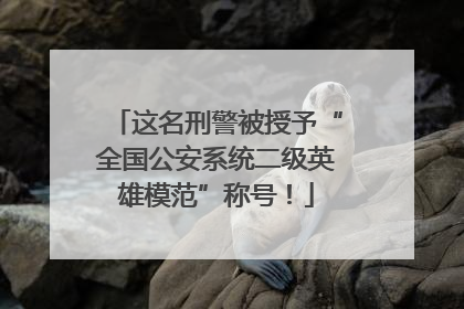 这名刑警被授予“全国公安系统二级英雄模范”称号！