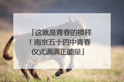 这就是青春的模样！南京五十四中青春仪式满满正能量
