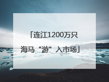 连江1200万只海马“游”入市场