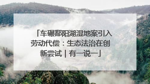 车碾鄱阳湖湿地案引入劳动代偿：生态法治在创新尝试｜有一说一