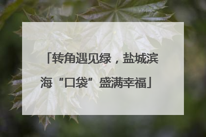 转角遇见绿，盐城滨海“口袋”盛满幸福