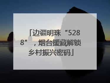 边疆明珠“5288”，烟台援藏解锁乡村振兴密码