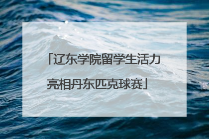 辽东学院留学生活力亮相丹东匹克球赛