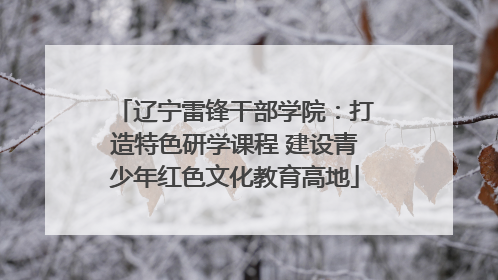 辽宁雷锋干部学院：打造特色研学课程 建设青少年红色文化教育高地