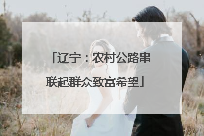 辽宁：农村公路串联起群众致富希望