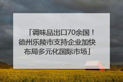 调味品出口70余国！德州乐陵市支持企业加快布局多元化国际市场
