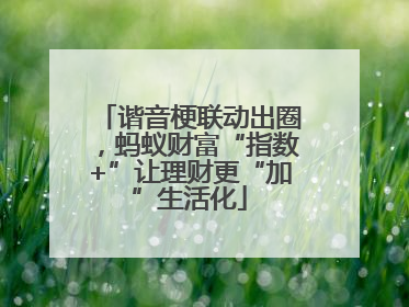 谐音梗联动出圈，蚂蚁财富“指数+”让理财更“加”生活化