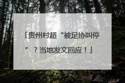 贵州村超“被足协叫停”？当地发文回应！