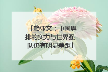 赖亚文：中国男排的实力与世界强队仍有明显差距