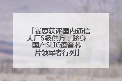 赛思获评国内通信大厂S级供方，跻身国产SLIC语音芯片领军者行列