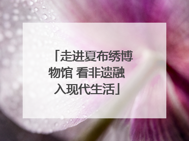 走进夏布绣博物馆 看非遗融入现代生活